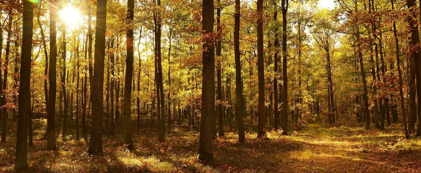 Die Reise in den olfaktorischen Herbst und Winter - Part 4