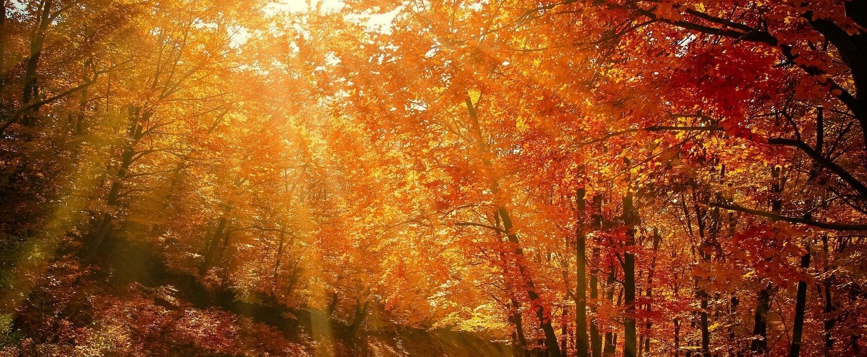 Die Reise in den olfaktorischen Herbst und Winter - Part 5