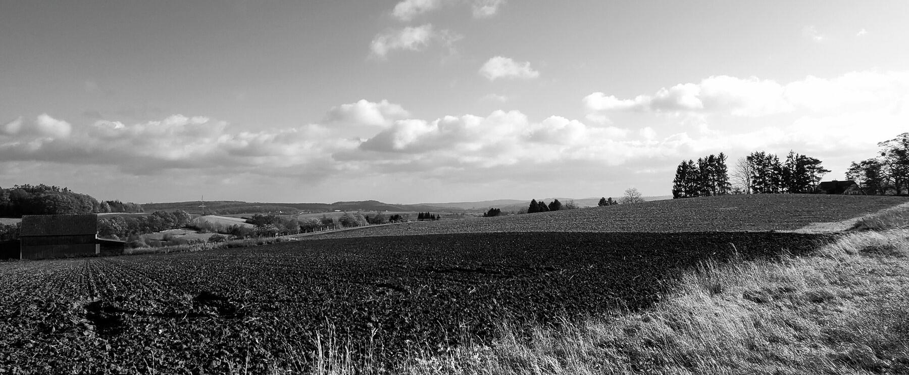 Und wieder ging ein Jahr ins Land...