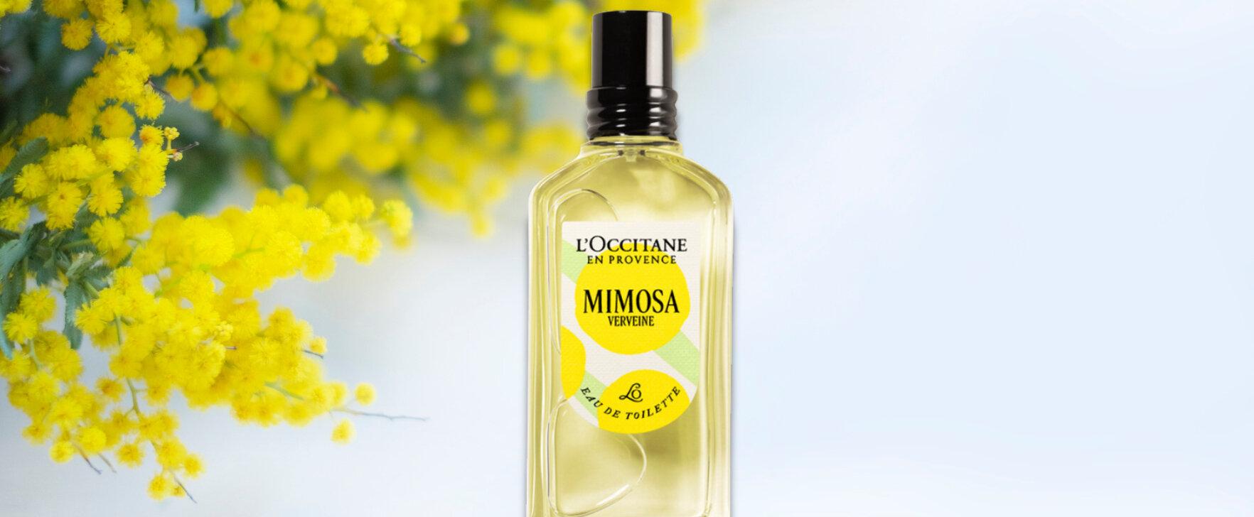 Mimose im Winterlicht: „Mimosa Verveine“ von L'Occitane en Provence