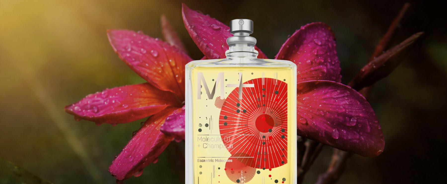 Florale Tiefe trifft Molekül: „Molecule 01 + Champaca“ von Escentric Molecules