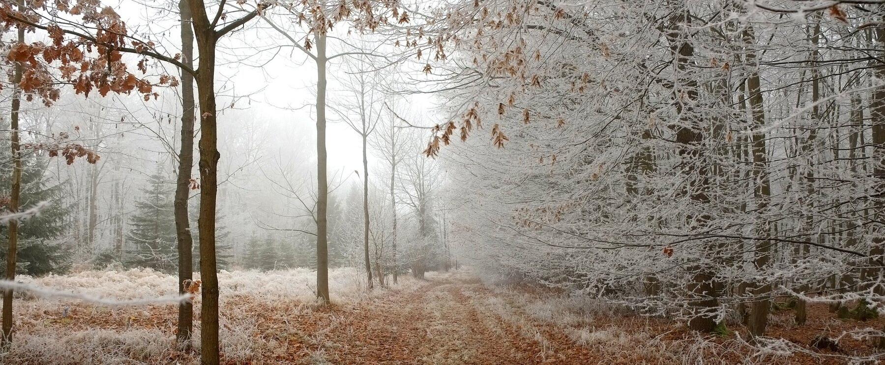 Die Reise in den olfaktotischen Herbst und Winter - Part 10: Mein Resümee 