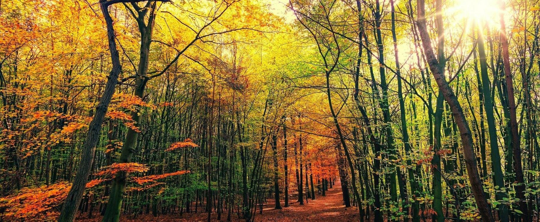 Die Reise in den olfaktorischen Herbst und Winter - Part 3