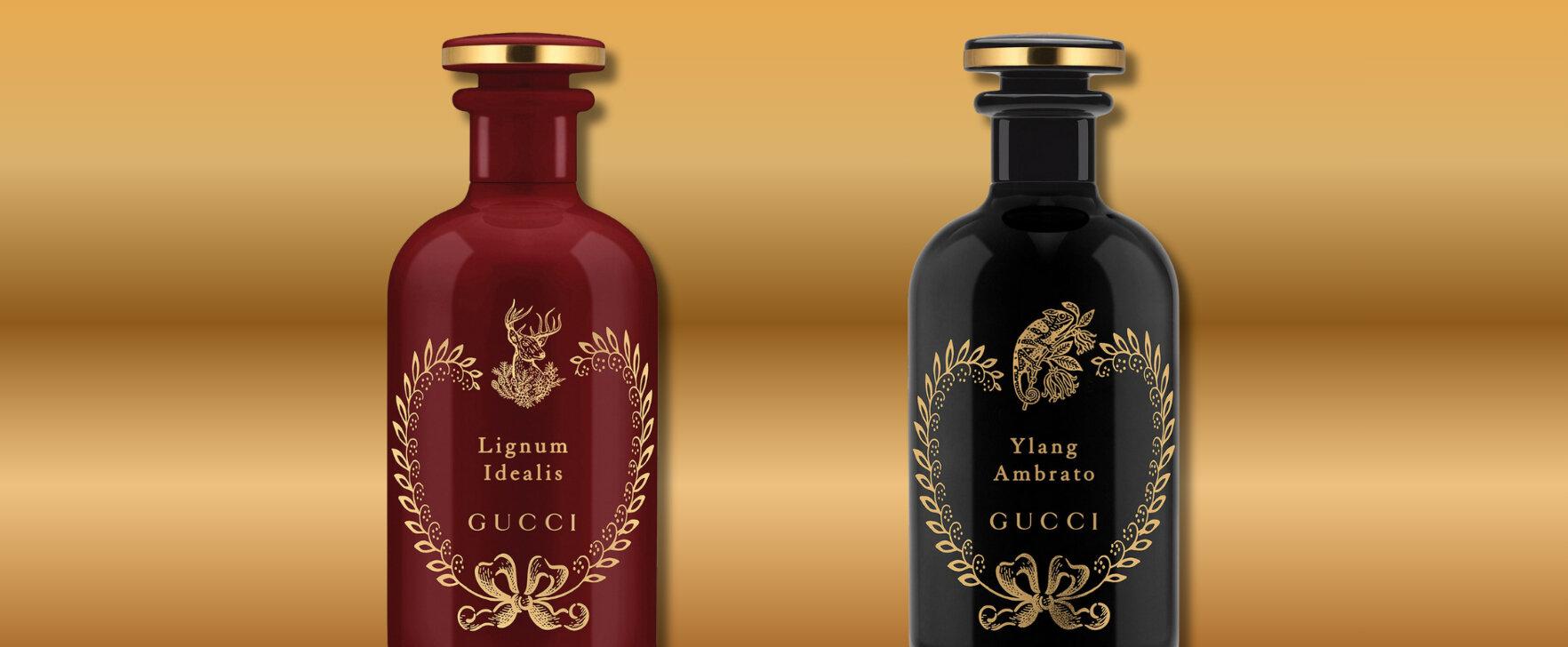 Cremige Blüten, würzige Hölzer: „Ylang Ambrato“ und „Lignum Idealis“ von Gucci