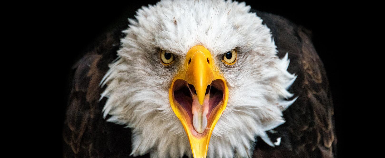 Independent-Weltreise: USA