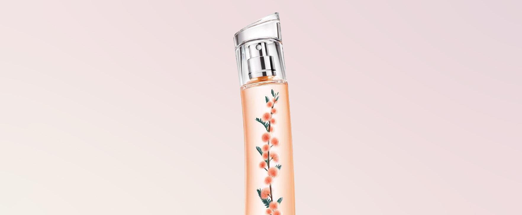 Die Umarmung einer Wintersonne: „Flower Ikebana Mimosa by Kenzo“