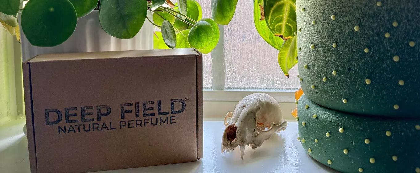 Exploring Deep Field Aromatics