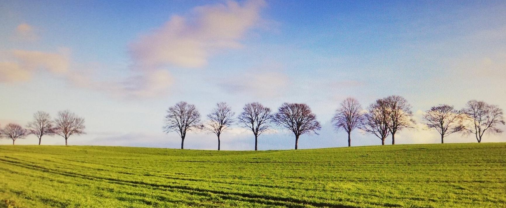 Das Leben ist schön. - Und jeder Tag zählt. 