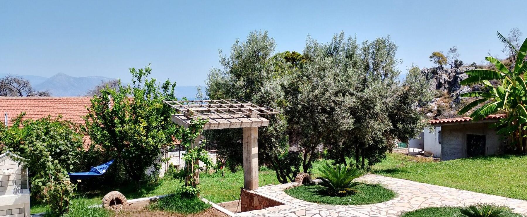 Mediterranean DNA fragrances