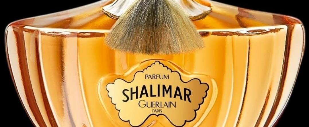 Das muß gefeiert werden! 