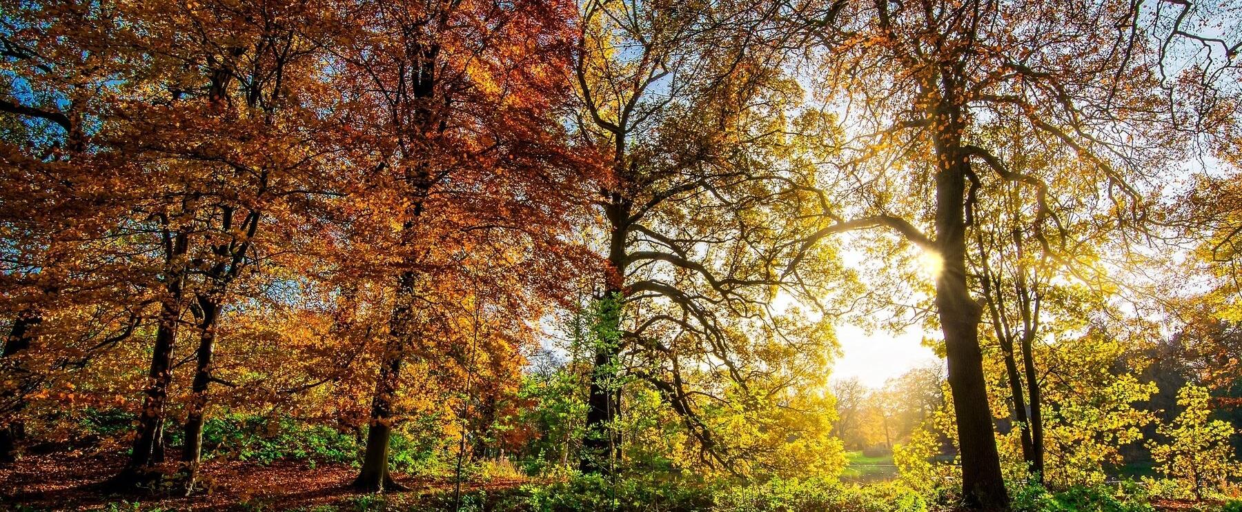 Die Reise in den olfaktorischen Herbst und Winter - Part 8