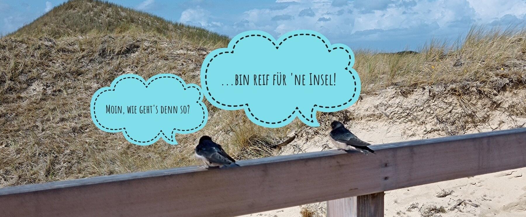 Reif für ´ne Insel