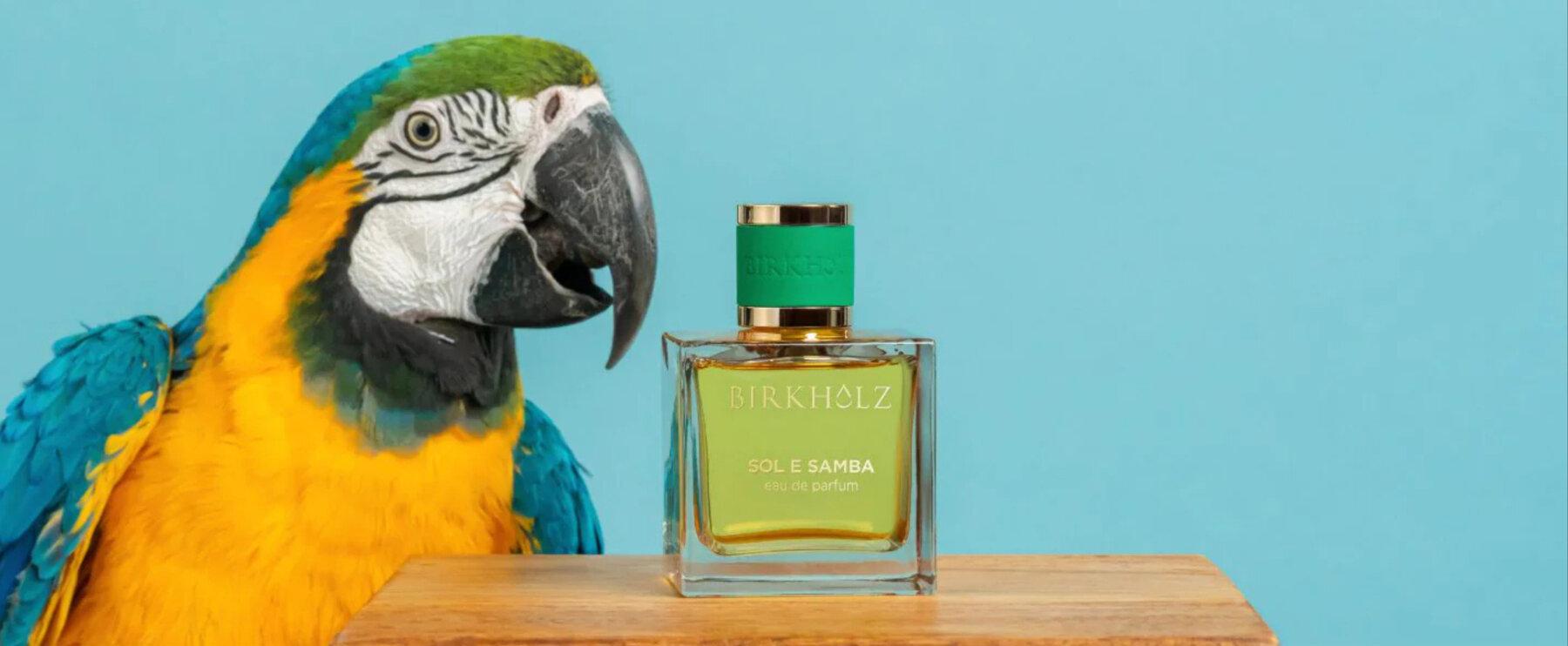 A Declaration of Love to Rio de Janeiro: The New Eau de Parfum "Sol e Samba" by Birkholz