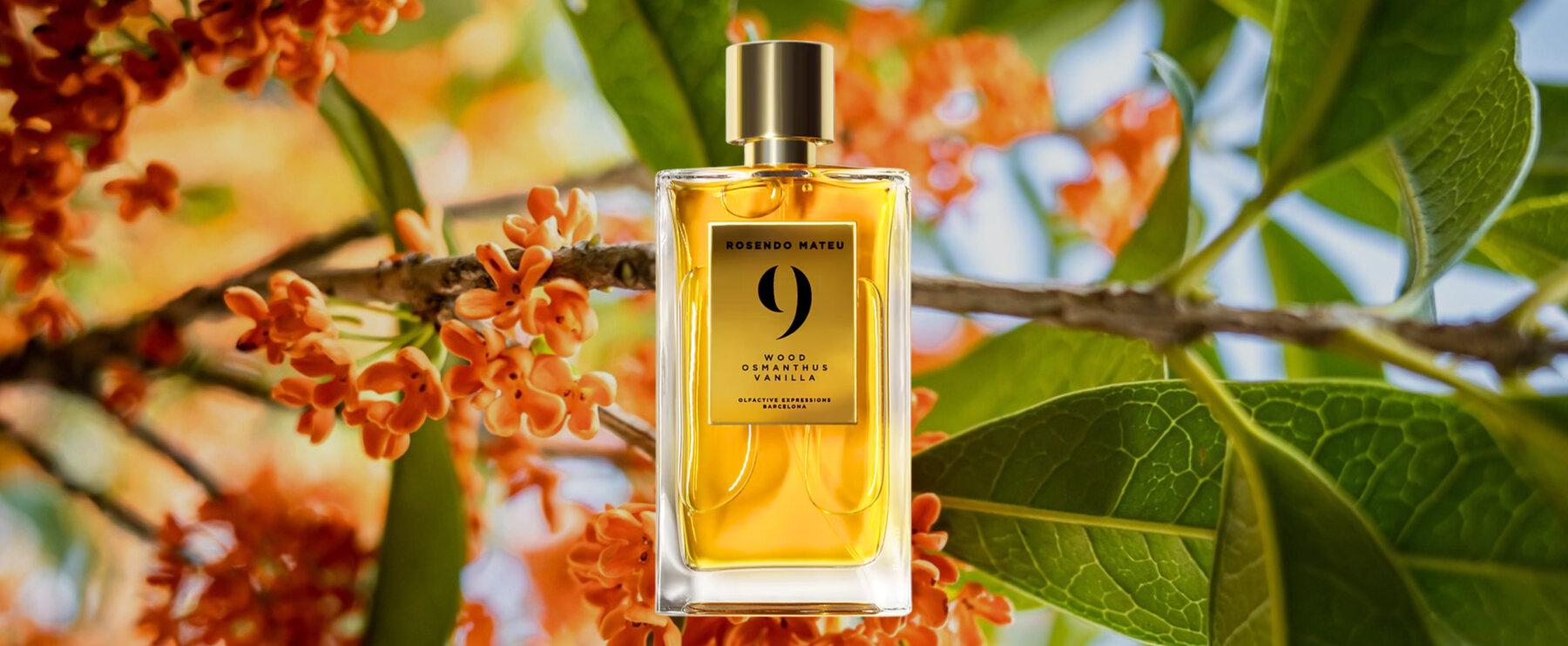 Tropische Frische trifft holzige Tiefe: „9 - Wood, Osmanthus, Vanilla“ von Rosendo Mateu - Olfactive Expressions