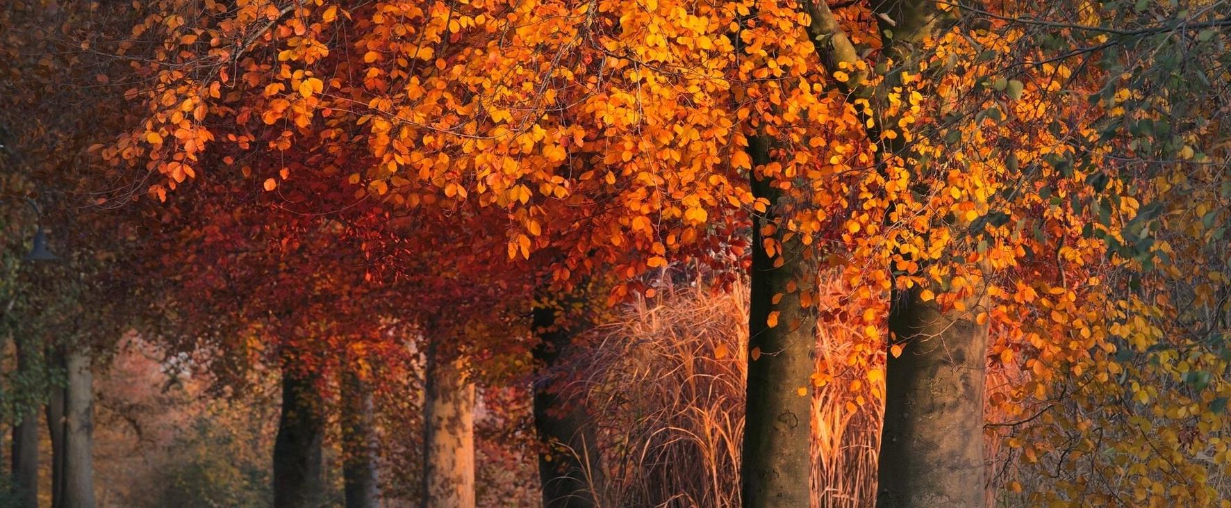 Die Reise in den olfaktorischen Herbst und Winter - Part 6
