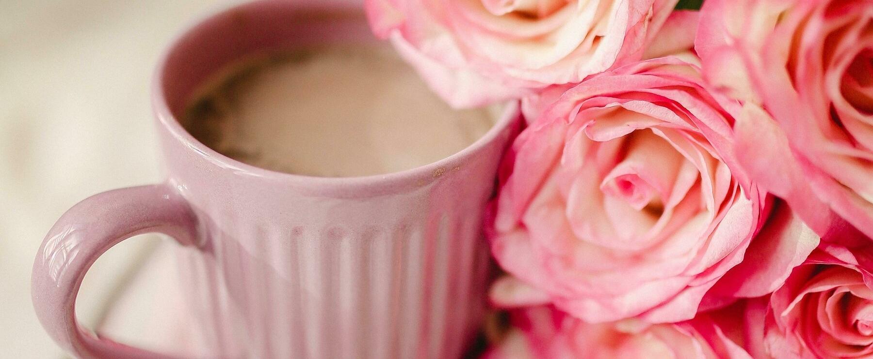 Kampf der Titanen - welcher ist der bessere Intense Cafe?