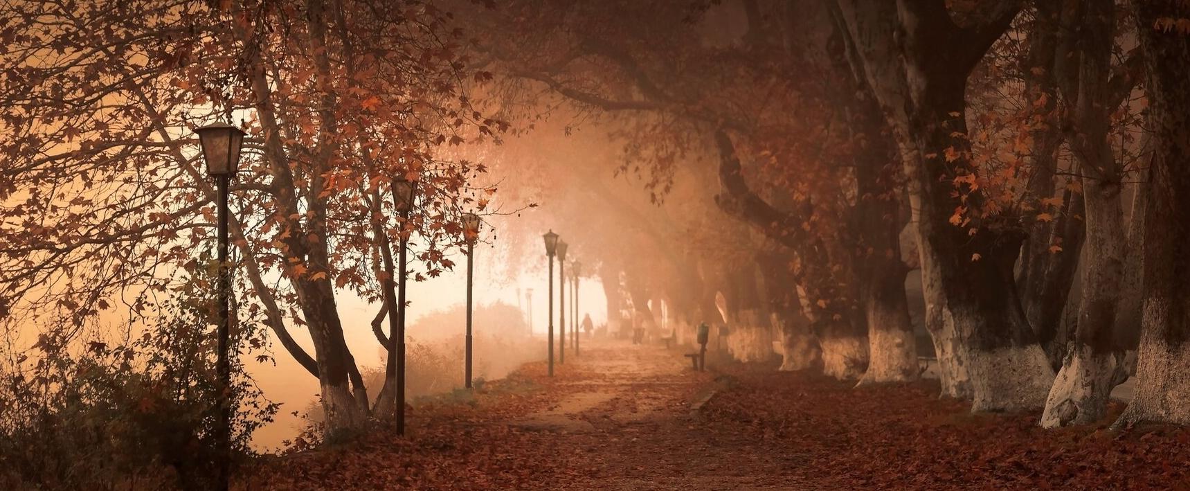 Die Reise in den olfaktotischen Herbst und Winter - Part 9