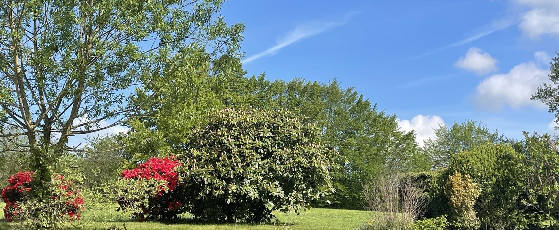 Ups schon wieder Frühling
