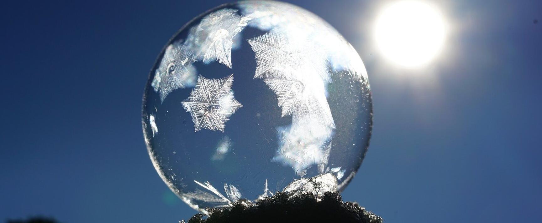 Wenn man nach Weihnachten genug vom Süßkram hat. Oder: Frische Düfte im Winter