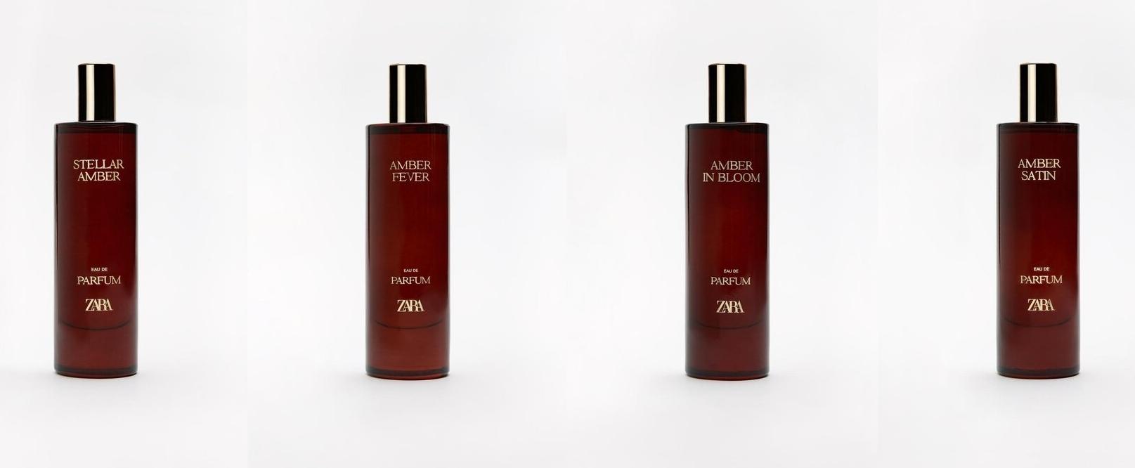Chapter No. 10 - Discover The Allure Of Amber