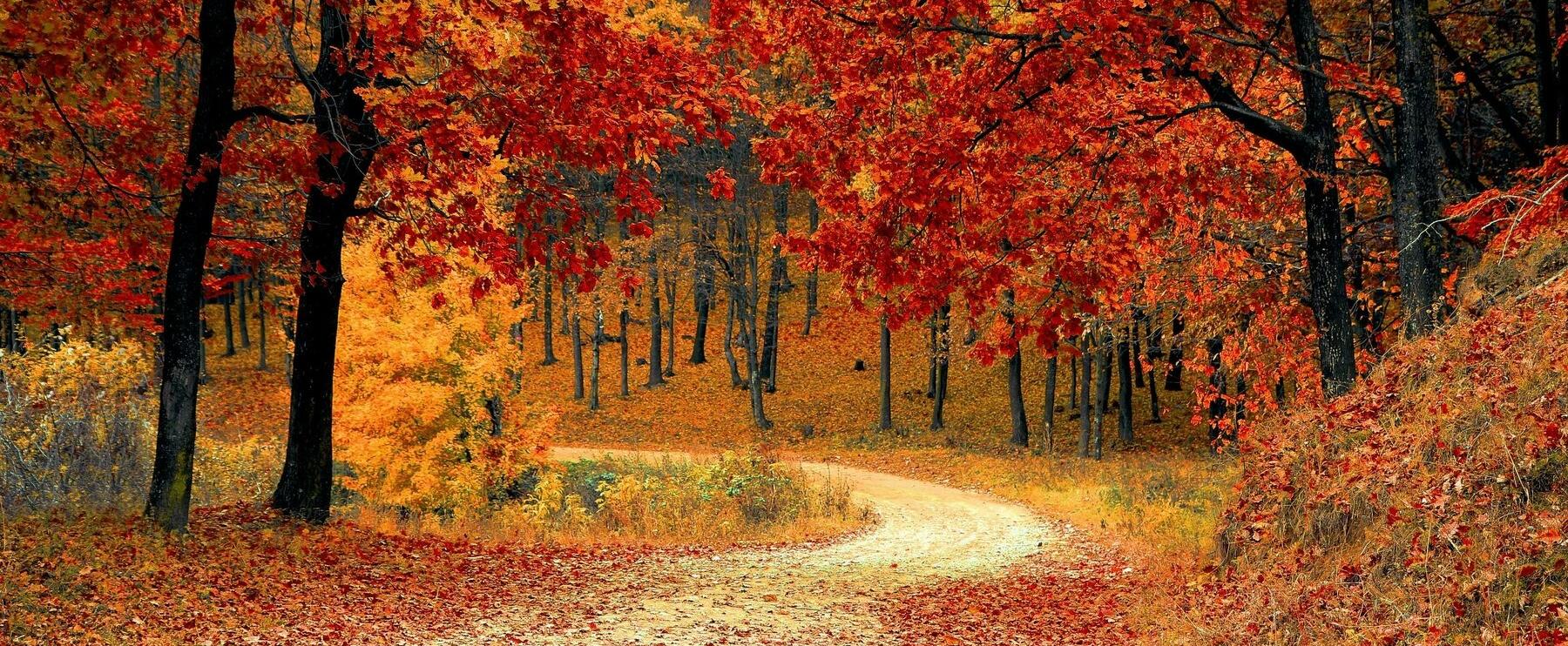 Oh Herbst du schöne Zeit - mach dich für meine Düfte bereit