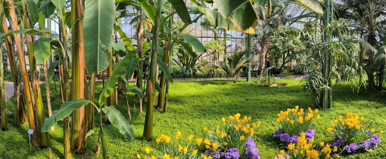 Zurück zum Ursprung