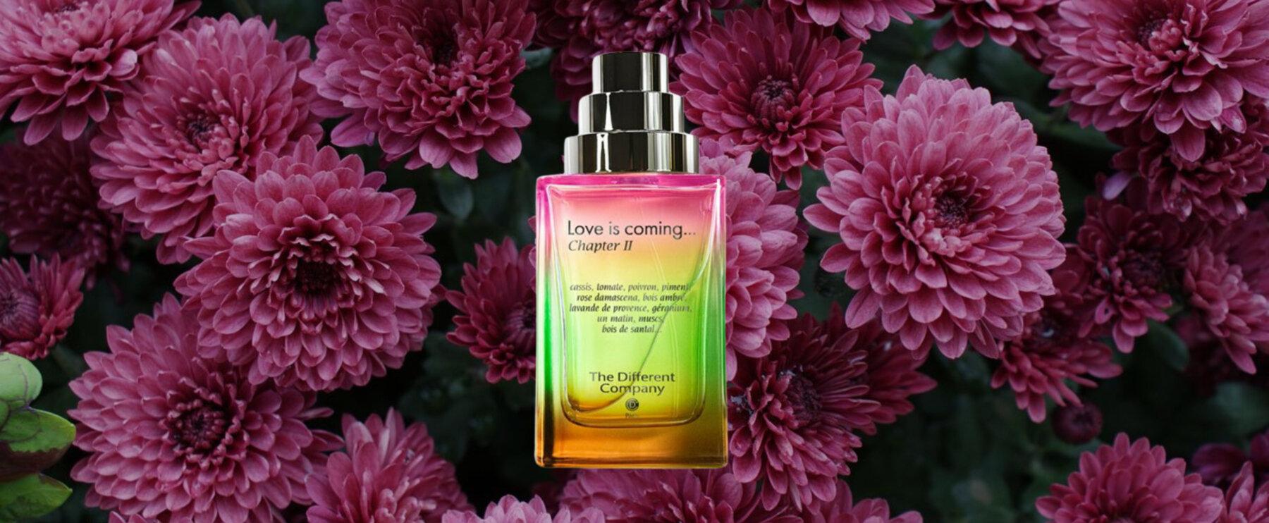 An Olfactory Vow: "Love Is coming... Chapter II" by The Different Company