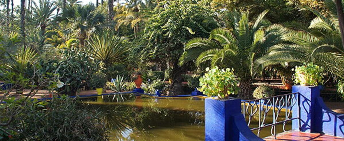 Von Gärten, Sehnsucht und Duft - Ronin und Louce zu Besuch bei Abderrazak Benchaâbane