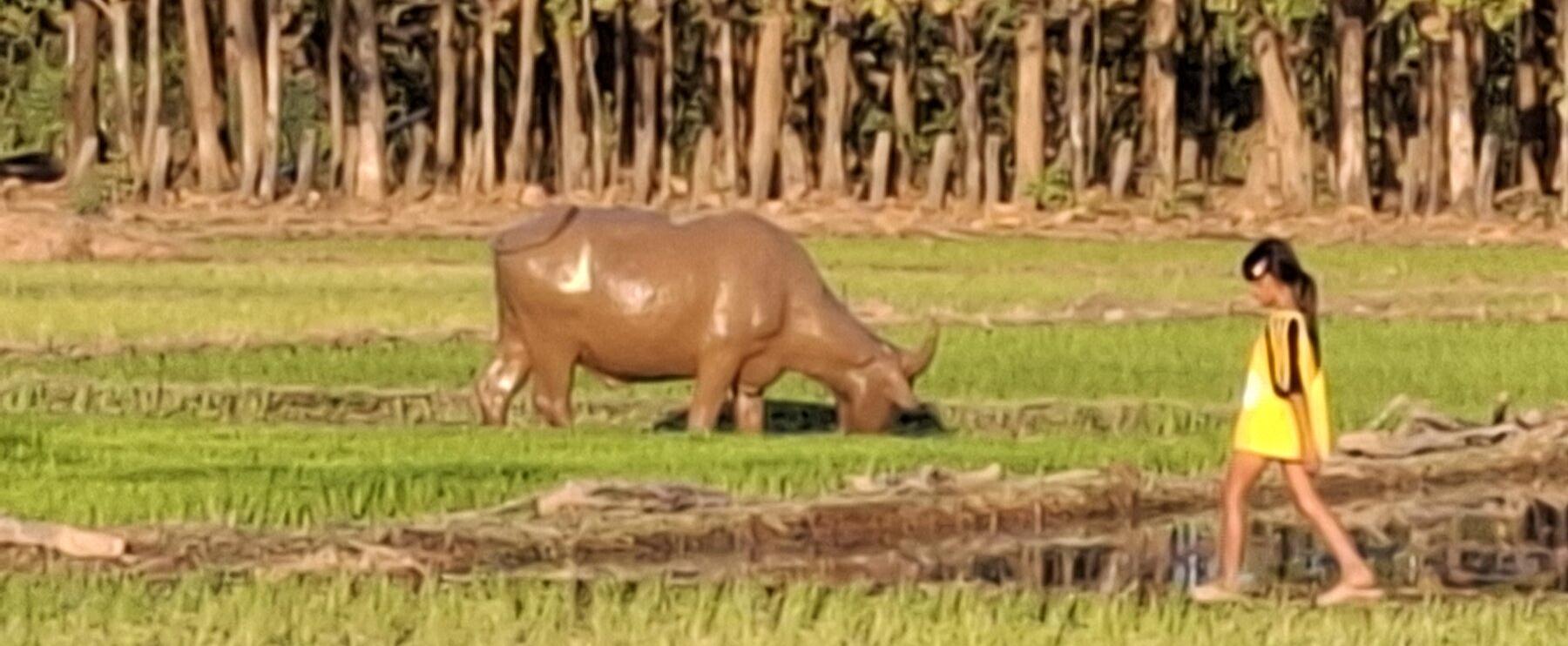 Besondere Duftmomente in Laos