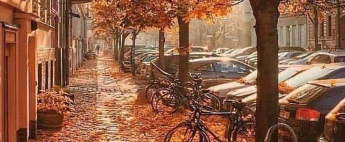 DSportellos Empfehlungen für den November. 