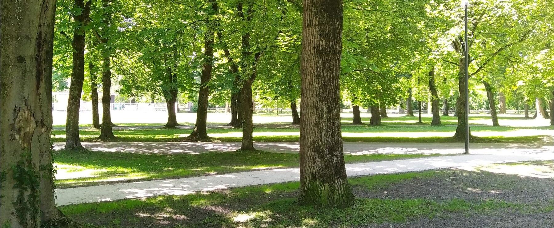 Die Wiederfindung