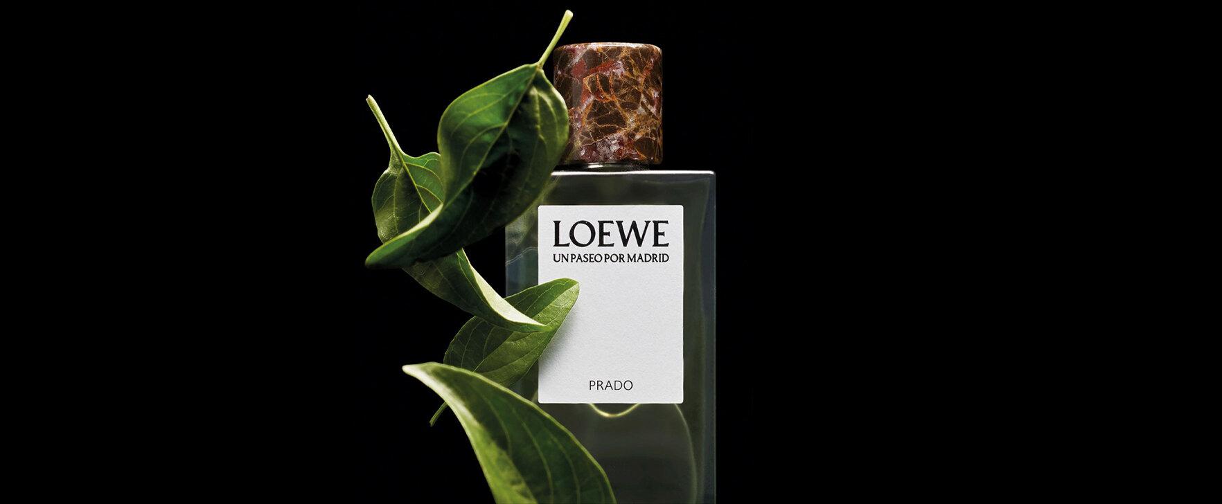 Ein Spaziergang durch Madrid: Das Eau de Parfum „Un Paseo por Madrid - Prado“ von Loewe