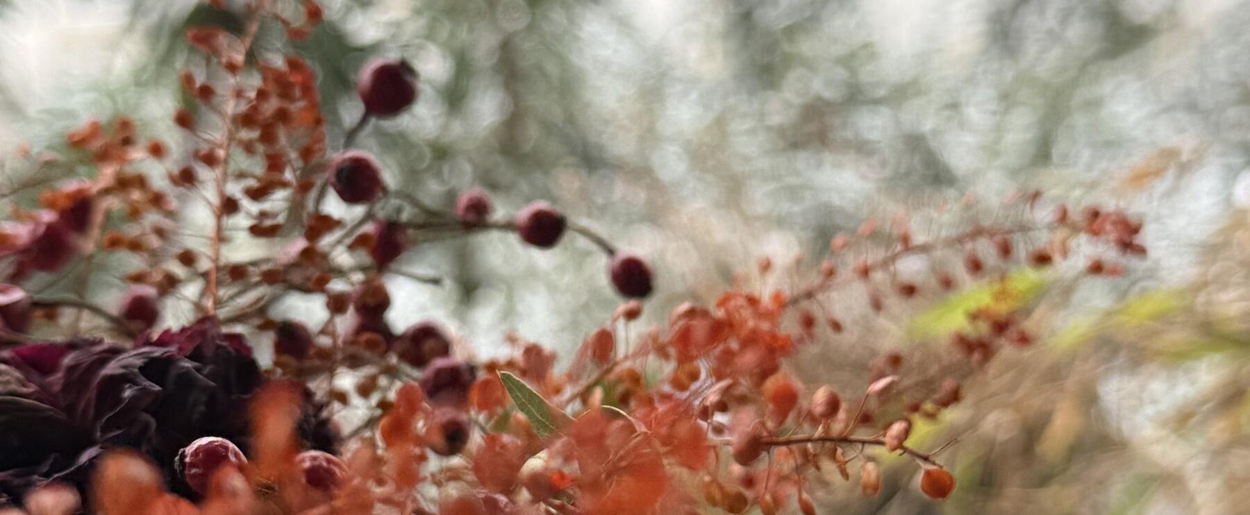 Rauhnächte: Wie, warum und mit welchem Parfum?