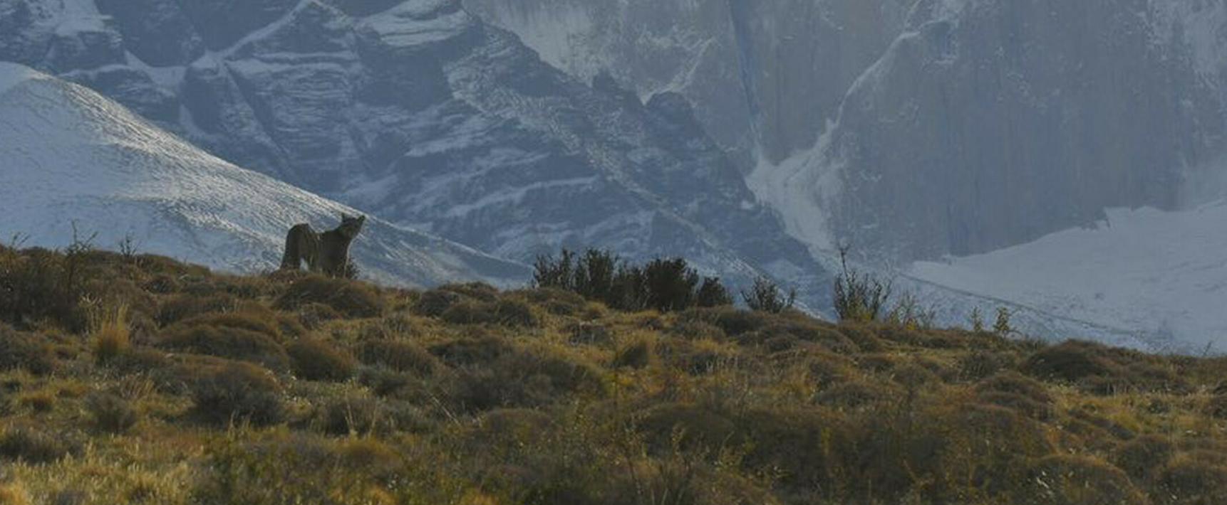 12.000km: Auf der anderen Seite der Welt