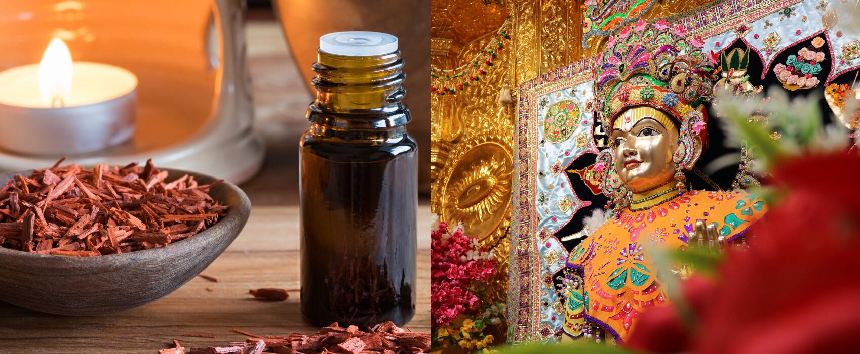 Sandalwood: Sacred Wood and Iconic Fragrance in Perfumery