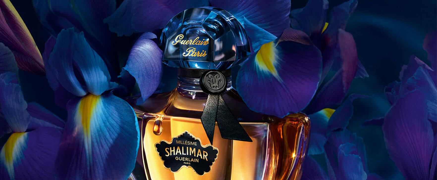 „Shalimar Millésime Iris“: Die neue limitierte Duftkreation von Guerlain