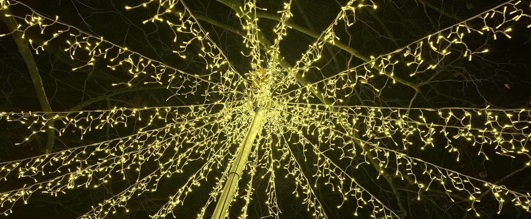 Kleine Duftfreuden gegen Einsamkeit 