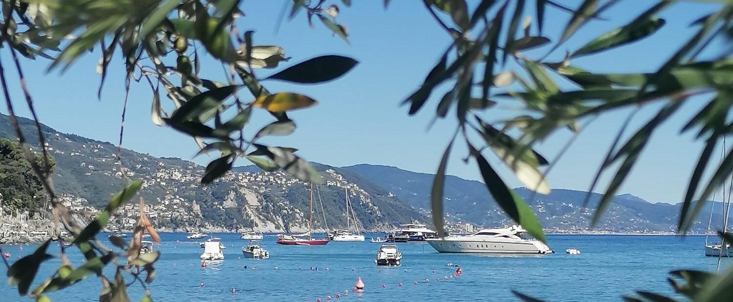 Meine Insel 