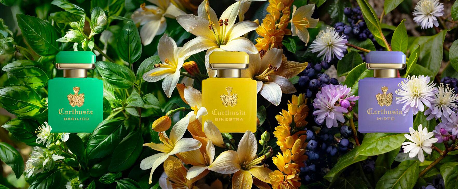 „Collezione Intenso“ von Carthusia: Mediterrane Raffinesse in neuer Intensität