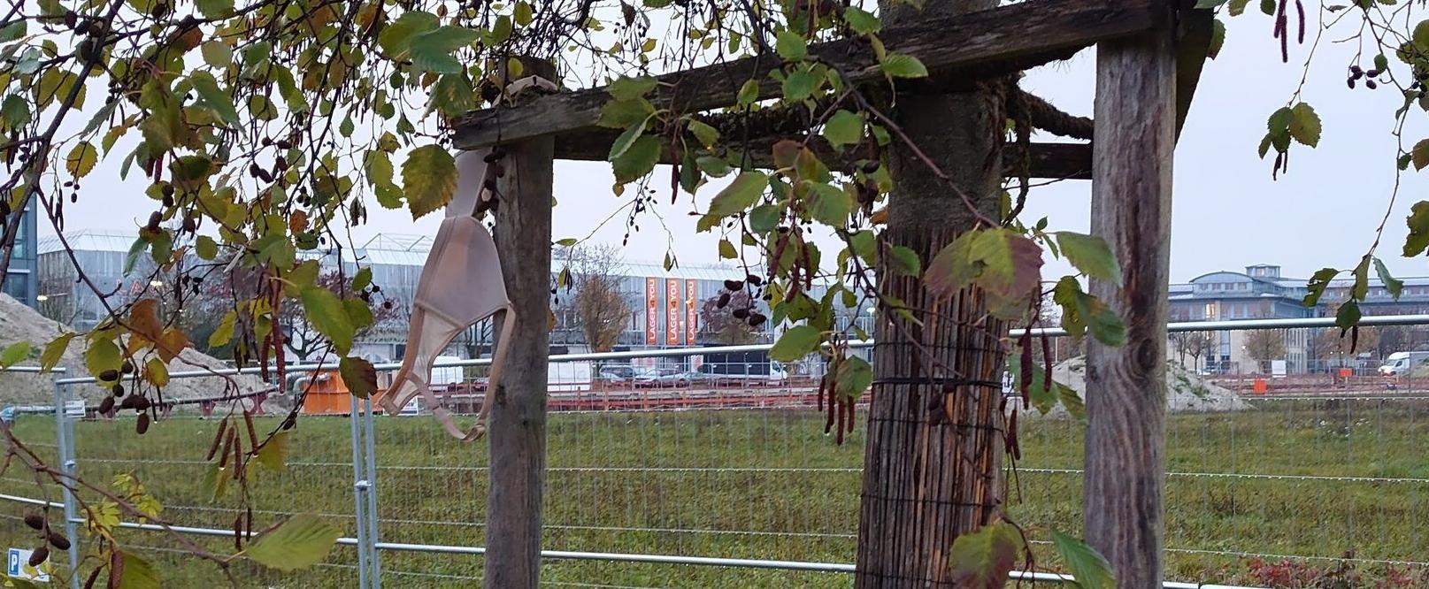 Es ist ein Wort der Warnung angebracht - Teil 4 - Die Flakons liegen auf der Strasse