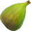 Kadota fig