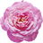 marokkanische Rose