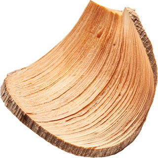 Holzspan