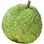 Maclura fruit