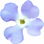 Gillyflower