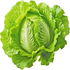 Lettuce