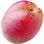 Chinese plum