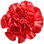 rote Gartennelke