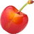 Rainier cherry
