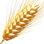 Barley